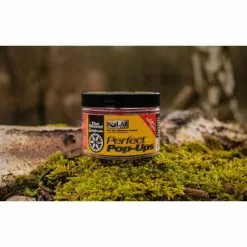 SOLAR Perfect Pop-Ups The Secret